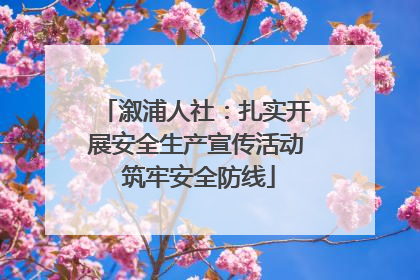 溆浦人社：扎实开展安全生产宣传活动 筑牢安全防线