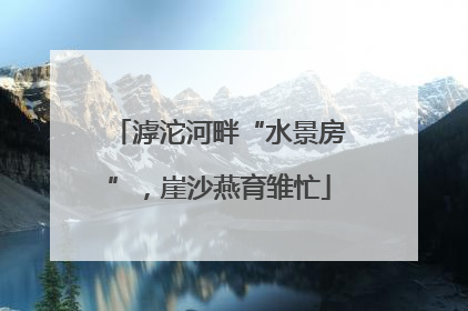 滹沱河畔“水景房”，崖沙燕育雏忙