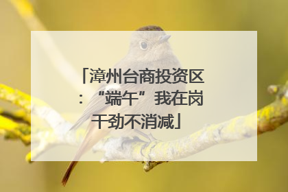漳州台商投资区：“端午”我在岗 干劲不消减