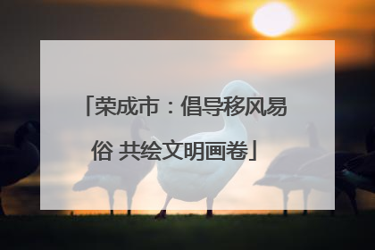 荣成市：倡导移风易俗 共绘文明画卷