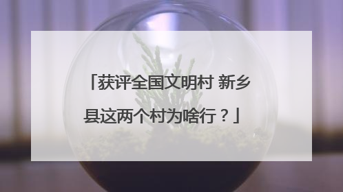 获评全国文明村 新乡县这两个村为啥行？