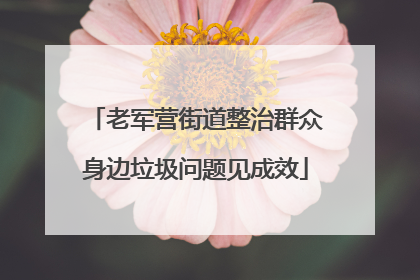 老军营街道整治群众身边垃圾问题见成效