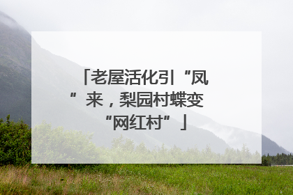 老屋活化引“凤”来，梨园村蝶变“网红村”