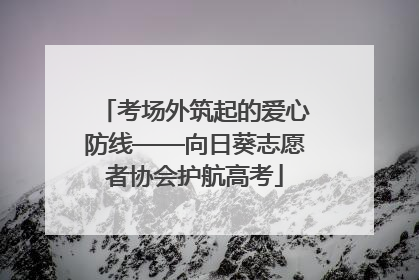 考场外筑起的爱心防线——向日葵志愿者协会护航高考