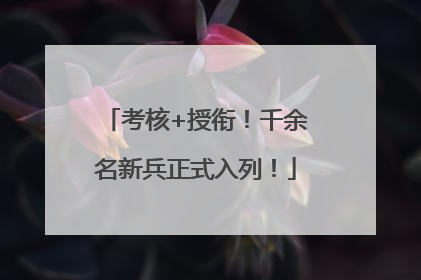 考核+授衔！千余名新兵正式入列！