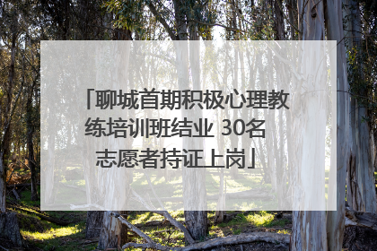 聊城首期积极心理教练培训班结业 30名志愿者持证上岗