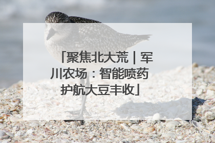 聚焦北大荒｜军川农场：智能喷药护航大豆丰收