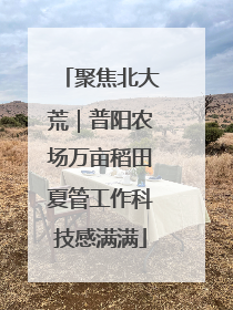 聚焦北大荒｜普阳农场万亩稻田夏管工作科技感满满