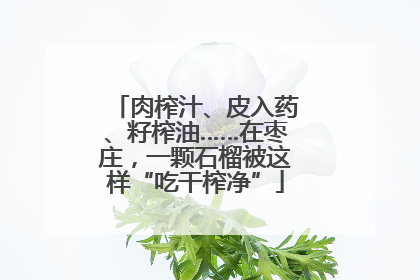 肉榨汁、皮入药、籽榨油……在枣庄，一颗石榴被这样“吃干榨净”
