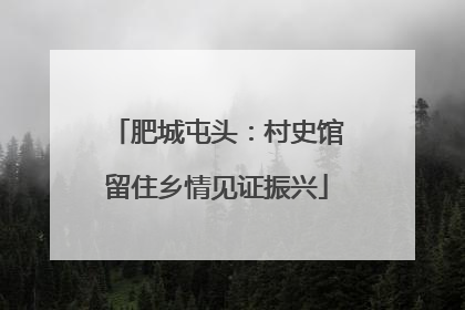 肥城屯头：村史馆留住乡情见证振兴