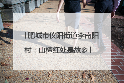 肥城市仪阳街道李南阳村：山楂红处是故乡