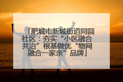 肥城市新城街道同圆社区：夯实“小区融合共治”根基做优“物网融合一家亲”品牌