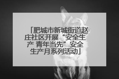 肥城市新城街道赵庄社区开展“安全生产 青年当先”安全生产月系列活动