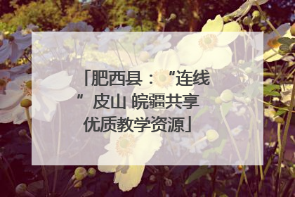 肥西县：“连线”皮山 皖疆共享优质教学资源