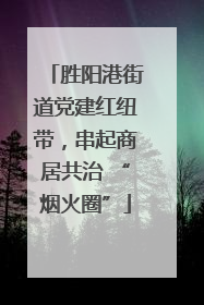 胜阳港街道党建红纽带，串起商居共治 “烟火圈”