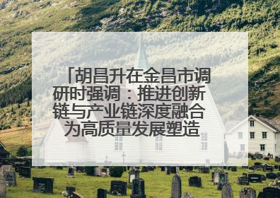 胡昌升在金昌市调研时强调：推进创新链与产业链深度融合 为高质量发展塑造新动能新优势