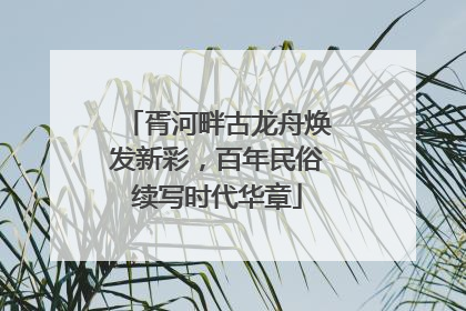 胥河畔古龙舟焕发新彩，百年民俗续写时代华章