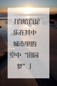 自给自足 乐在其中 城市里的空中“田园梦”