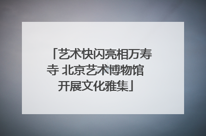 艺术快闪亮相万寿寺 北京艺术博物馆开展文化雅集