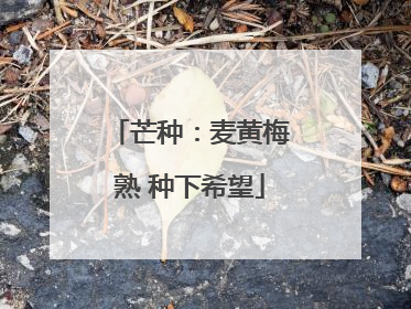 芒种：麦黄梅熟 种下希望