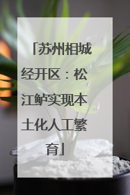 苏州相城经开区：松江鲈实现本土化人工繁育