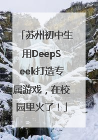苏州初中生用DeepSeek打造专属游戏，在校园里火了！