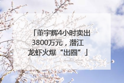 董宇辉4小时卖出3800万元，潜江龙虾火爆“出圈”