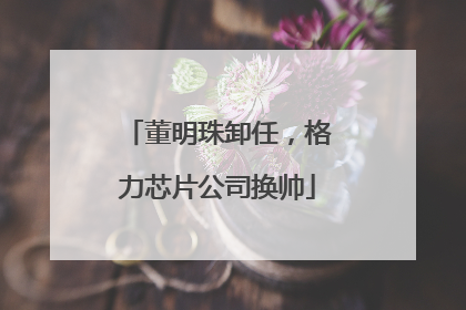 董明珠卸任，格力芯片公司换帅