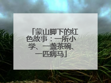 蒙山脚下的红色故事：一所小学、一盏茶碗、一匹病马