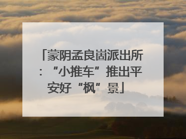 蒙阴孟良崮派出所：“小推车”推出平安好“枫”景