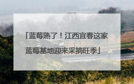 蓝莓熟了！江西宜春这家蓝莓基地迎来采摘旺季