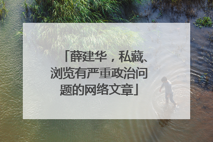 薛建华，私藏、浏览有严重政治问题的网络文章
