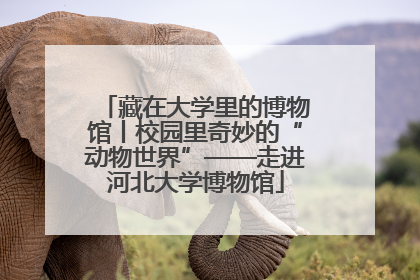 藏在大学里的博物馆丨校园里奇妙的“动物世界”——走进河北大学博物馆