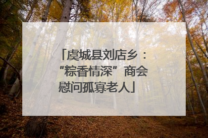 虞城县刘店乡：“粽香情深”商会慰问孤寡老人