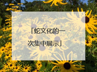 蛇文化的一次集中展示
