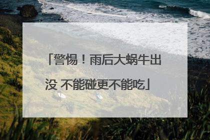警惕！雨后大蜗牛出没 不能碰更不能吃