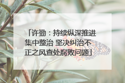 许勤：持续纵深推进集中整治 坚决纠治不正之风查处腐败问题