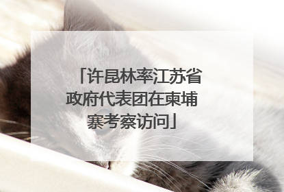 许昆林率江苏省政府代表团在柬埔寨考察访问