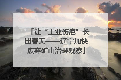 让“工业伤疤”长出春天——辽宁加快废弃矿山治理观察