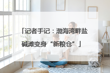 记者手记：渤海湾畔盐碱滩变身“新粮仓”