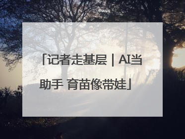 记者走基层｜AI当助手 育苗像带娃