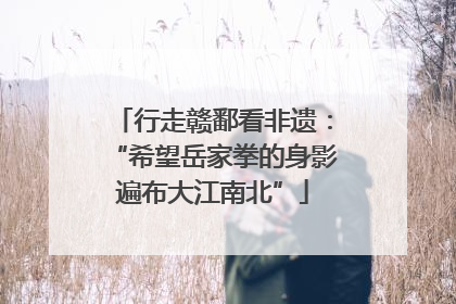 行走赣鄱看非遗：“希望岳家拳的身影遍布大江南北”