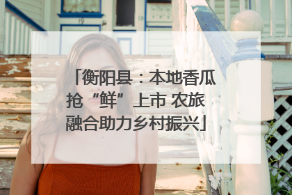 衡阳县：本地香瓜抢“鲜”上市 农旅融合助力乡村振兴