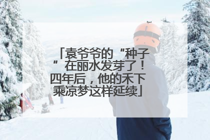 袁爷爷的“种子”在丽水发芽了！四年后，他的禾下乘凉梦这样延续
