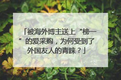 被海外博主送上“榜一”的爱采购，为何受到了外国友人的青睐？