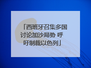 西班牙召集多国讨论加沙局势 呼吁制裁以色列