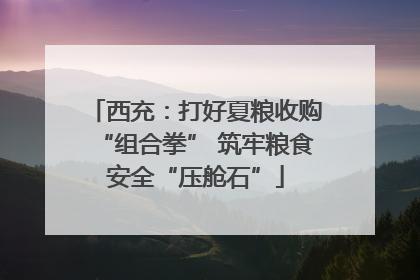 西充：打好夏粮收购“组合拳” 筑牢粮食安全“压舱石”