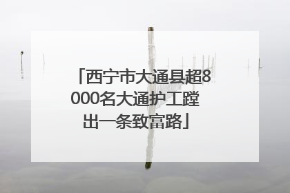 西宁市大通县超8000名大通护工蹚出一条致富路