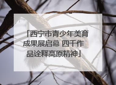 西宁市青少年美育成果展启幕 四千作品诠释高原精神