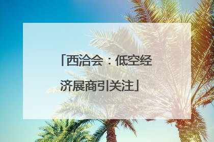 西洽会：低空经济展商引关注